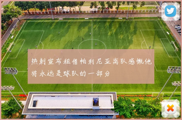 热刺宣布租借帕利尼亚离队感慨他将永远是球队的一部分